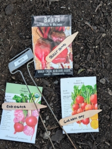 Every season, I also plant beets. Beets are sweet and tender – and one of the healthiest foods. Beets contain a unique source of phytonutrients called betalains, which provide antioxidant, anti-inflammatory and detoxification support.