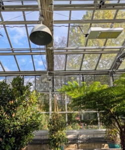 Most of the energy in this greenhouse comes from the sun through these giant windows, which can be programmed to open for ventilation or cooling when needed. I also have a grow light system installed for nighttime use.