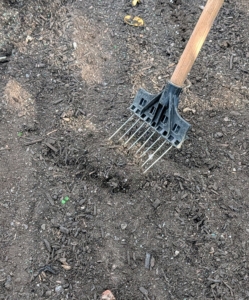 Once all the seeds are dropped into their various beds, Ryan uses the back of a small soft rake to backfill all the planted furrows.