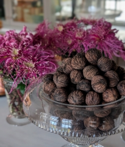 Black walnuts can be displayed on a fall counter, used for baking or cooking, stored in the fridge for up to a year, or for two or more years in the freezer. I love that all of these black walnuts were grown right here at my farm. And the pretty mums behind them too!