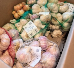 It’s always exciting to get a delivery from Keene Garlic filled with bags of fragrant garlic bulbs for my garden. I have been planting Keene Garlic for several years and am always so pleased with their growth and taste. Here's my box containing several different varieties for planting this year.