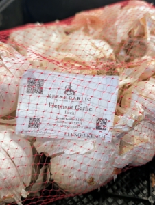 And, Elephant Garlic is actually a leek that resembles garlic in growing and in appearance. It has a very mild flavor. It is most commonly found in grocery stores. It is also larger than the other garlic varieties.