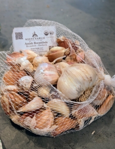 Some of the garlic I am planting this year include Amish Rocambole, a robust and very hardy type. It grows well in Northern States, and has large impressive bulbs with flavor that’s deep, full bodied, and medium hot.