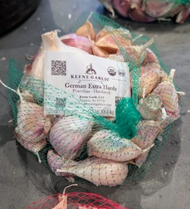 The German Extra Hardy Porcelain garlic is large-sized and medium flavored. Because of its large root system, this hardneck is extremely hardy and often withstands freezing and thawing cycles when other garlic varieties don’t.