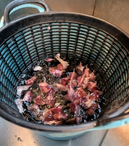 The garlic is placed into the soaking solution. Ryan uses two buckets - one solid and one designed as a colander for draining. Soak the garlic for at least 30-minutes or up to overnight.