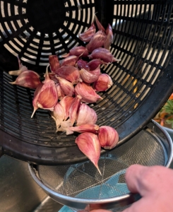 It is also rinsed several times with water and drained thoroughly again before drying.