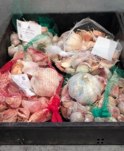 Once all the garlic is put through the preparation process, the cloves are returned to their mesh bags. One bulb is left whole and kept with its variety bag in case needed.