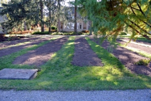 Here, the beds are clean, free of any bulbs, and ready to be replanted.