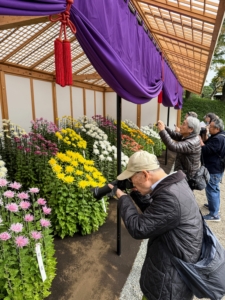 As you can imagine, the exhibition was a big draw for garden and photo enthusiasts alike. Here are shutterbugs admiring the Edo varieties.