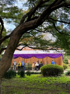 Here in this tent - Ise, Saga, and Choji varieties are displayed. Choji are trained to display one central bloom that is encircled by six others.