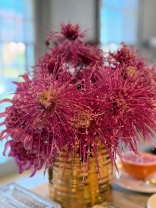 The unique bloom forms, rich history, and long vase life are what set these stunning mums apart. Learn more on Debra's web site and follow her on Instagram @bearcreekfresh.