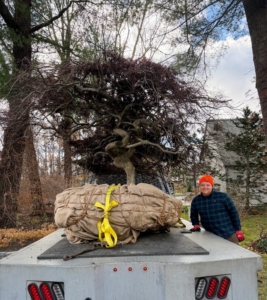 Carter and his wife, Kirsten, are so happy the tree could continue to thrive in another garden. Here's Carter ready to unload.