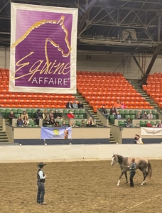 The main mission of the Equine Affaire is to help educate and improve horse management and care, training, and equestrian riding skills. The event is held twice a year - once in Massachusetts and once in Ohio. More than 30-thousand horse enthusiasts attend the four day event annually. This is the coliseum at Springfield's Big E where classes and shows are held.