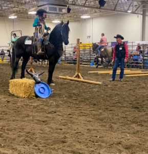 The event features all of the major equestrian sports from dressage, reining, cutting, jumping, driving, eventing, and barrel racing to team penning and sorting, distance competition, western dressage, trail, polo, and sidesaddle. It's a great way for all riders to gain more information and talk to experts.
