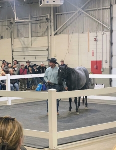 Educational programs and clinics remain the cornerstones of the events. Helen and Juan tried to view as much as they could during their visit.