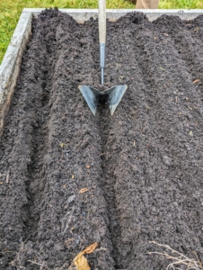 Then Matthew goes over the same furrows with the Row Pro™ from Johnny’s Selected Seeds. It’s great for making deeper trenches in the soil.