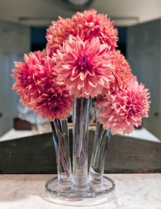 I grow many flowers every year, so they can be cut and used for photography shoots, videos or to display in my kitchen, servery, and sitting rooms. I always make lots of dahlia arrangements to decorate my home.