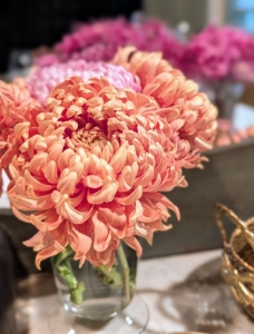 I grew these from small plants I received from Bear Creek last spring. I just went back for a wonderful heritage chrysanthemum workshop. I'll be sharing those photos very soon.