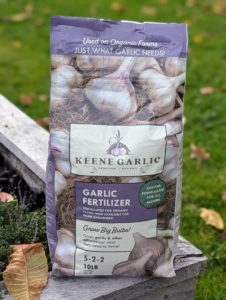 Next, it's important to feed the bed. Keene Garlic Fertilizer is an organic 5-2-2 formula specially made for garlic and alliums.