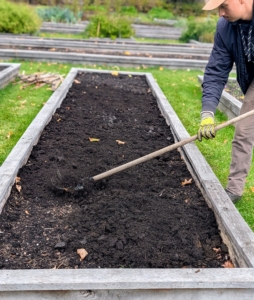 Once the soil is spread across the bed, Matthew rakes it, so it is level and smooth.