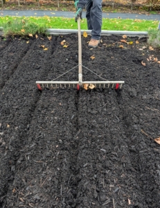 In an adjacent bed that has already been cultivated, Ryan uses a Bed Preparation Rake from Johnny’s Selected Seeds to create furrows in the soil. Hard plastic red tubes slide onto selected teeth of the rake to mark the rows.