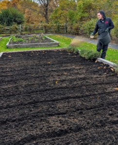 Using a scoop, Ryan broadcasts a generous amount of fertilizer over the beds.