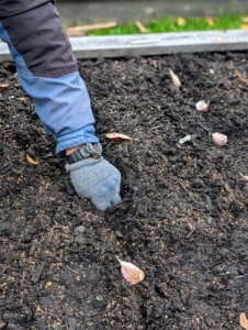 Phurba places the clove into the hole.
