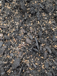 This fertilizer will help produce large, robust bulbs that are flavorful and nutritious.