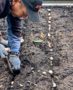 Phurba also makes sure to leave one row uncovered, so Ryan knows the proper placement of each clove.