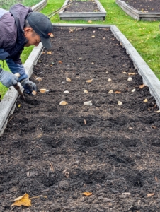 Phurba plants these cloves in the same way he did the others.