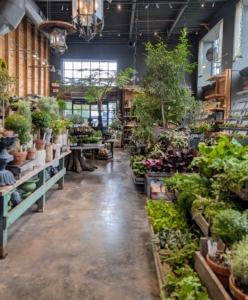 Terrain offers an assortment of seasonal plants and items for the home and garden. It also has indoor-outdoor nurseries, and a cafe.
