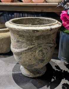I chose this lovely Terrain urn for it. I am excited to see it thrive in my greenhouse.