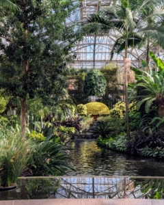 Longwood showcases one of North America's largest and oldest collections of chrysanthemums in this festival every year.