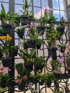 The gallery-like space which was restored in 2022 still includes a lot of the original bronze detailing and ironwork, but now includes a much more advanced system for maintaining the proper heat and humidity in the room.