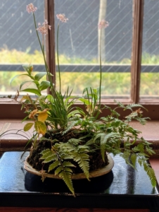 Part of Longwood's Kusamono Collection is this arrangement. Known as a companion to bonsai, kusamono translates to "grass thing." The arrangement includes a variety of grasses, mosses, and flowers. If you are ever in the area, visit Longwood Gardens - learn its history and walk through its beautiful spaces.