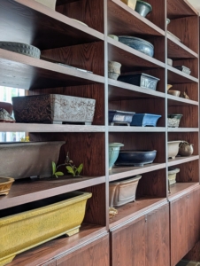 The Bonsai Workshop also displays many pots for its specimens. The pairing of trees with the proper pots is critical in bonsai art. There are more than 500 artisanal pots here - crafted by potters from around the world.