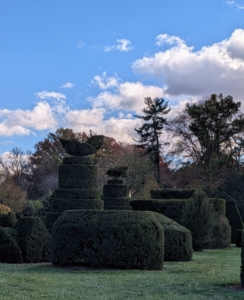 Longwood also has a mature topiary garden which includes more than 35 specimens of highly cultivated and groomed yews.