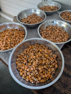 And I have so many this year! What a bounty.