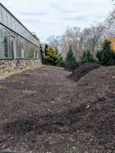 My process for winterizing has changed over the years. I now keep my dahlias in the ground. First, all the tubers are covered with an eight to 10-inch thick layer of nutrient-rich compost.
