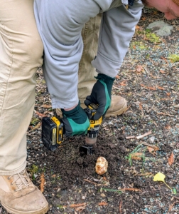 Ryan uses a stainless steel bulb planter drill attachment.