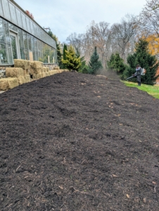 This thick layer acts as a barrier to protect the plants. At the edges of the bed, Cesar blows any compost clumps back into the garden, so everything is neat.