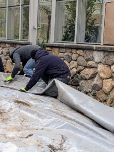 Next, to keep excess moisture from saturating the tubers, the crew covers the compost and the tubers with an old industrial tarp left from another project.