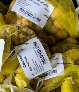 Once at the farm, my head-gardener Ryan McCallister organizes them by type and groups them where they will be planted.