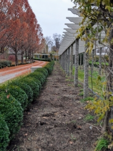 The area will also get a covering of composted mulch made right here at the farm. I am glad the weather has allowed us a good head start this season. I cannot wait to see the fruits of our labor, and the swaths of color that will emerge in spring.