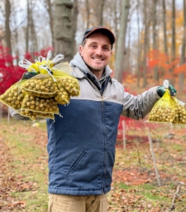 Ryan carries bags of bulbs to their designated beds and plants them in batches.