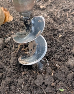 Ryan applies pressure to make the holes about four to six inches deep. Holes should be about three times the bulb’s width and depth.