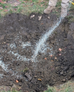 Ryan pours a generous amount of fertilizer in the hole and on the surrounding soil. It is very important to feed the plants and trees.