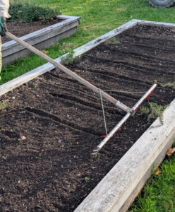 Ryan follows by making the rows using the bed preparation rake from Johnny’s Selected Seeds. This tool allows him to create shallow furrows in the soil. Hard plastic red tubes slide onto selected teeth of the rake to mark the rows.