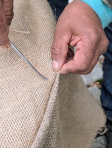 These needles are specially designed for sewing jute. These five-inch long needles have large eyes and bent tips. Every member of my outdoor grounds crew has a needle. Pete stitches the top of the fabric together pulling the burlap snug.