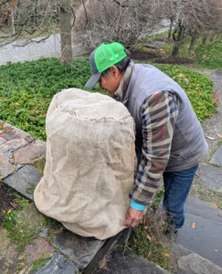 This piece of burlap is being reused from last year also. I always encourage the crew to reuse and repurpose.